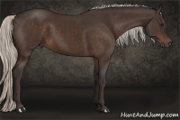 Horse Color:Silver Brown 