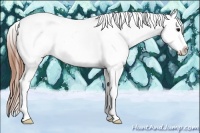 Horse Color:White Spotted Black Tobiano Frame Appaloosa Rabicano 