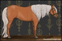 Horse Color:Silver Bay 