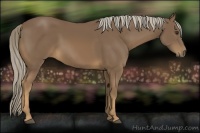 Horse Color:Chocolate Palomino 