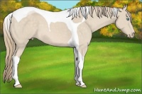 Horse Color:Perlino Tobiano 