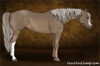 Horse Color:Chocolate Palomino 