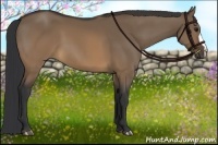Horse Color:Brown Dun 