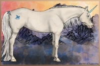 Horse Color:Cremello Roan 