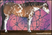 Horse Color:Buckskin Sabino 