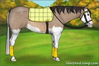 Horse Color:Bay Roan Dun Splash
