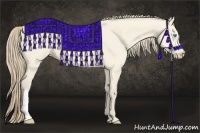 Horse Color:Perlino Dun