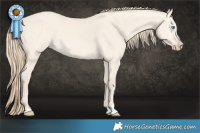 Horse Color:Perlino Dun
