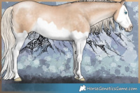 Horse Color:Chocolate Palomino Pearl Splash