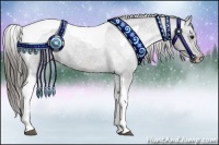 Horse Color:Black Tobiano Appaloosa