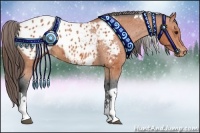 Horse Color:Bay Tobiano Appaloosa