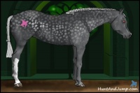 Horse Color:Silver Black Chinchilla 