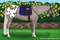 Horse Color:Silver Smoky Black Appaloosa