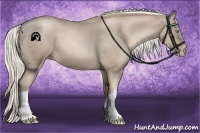 Horse Color:Chocolate Palomino Pearl 
