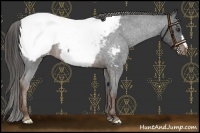 Horse Color:Liver Red Roan Snowcap 