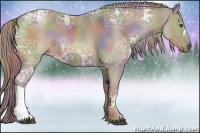 Horse Color:Nacre Chocolate Palomino Ice