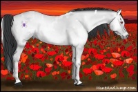 Horse Color:White Spotted Brown Chinchilla Onyx