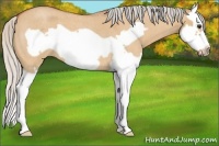 Horse Color:Silver Bay Roan Dun Splash Frame 
