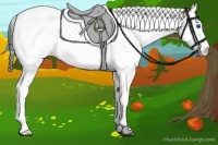 Horse Color:Bay Splash Tobiano Rabicano