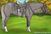 Horse Color:Silver Blue Roan Rabicano 