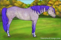 Horse Color:Watercolor Bay Roan Dun and Watercolor Buckskin Dun Sabino