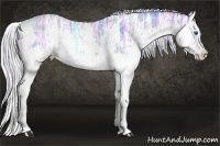 Horse Color:Watercolor Chocolate Palomino Ice Splash 