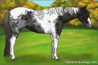 Horse Color:Liver Chestnut Ice Tobiano 