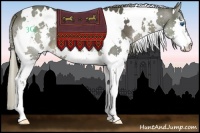 Horse Color:White Spotted Liver Chestnut Splash