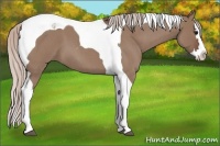 Horse Color:Chocolate Silver Grullo Roan Splash Tobiano 