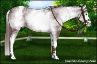 Horse Color:White Spotted Chocolate Smoky Black Splash Varnish 
