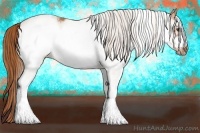 Horse Color:White Spotted Chestnut Frame