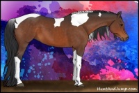 Horse Color:Bay Tobiano 