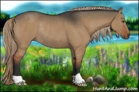 Horse Color:Liver Red Dun Rabicano 