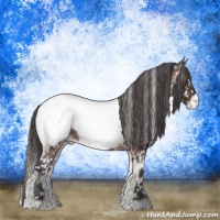 Horse Color:Brown Onyx Sabino Appaloosa