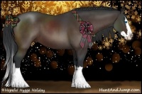 Horse Color:Bay Sabino Splash 