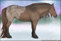 Horse Color:Liver Chestnut Ice 