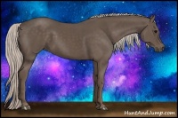 Horse Color:Silver Black 