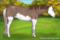Horse Color:Red Roan Splash 