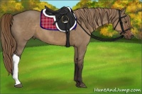 Horse Color:Liver Red Dun