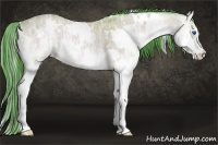 Horse Color:Watercolor White Spotted Bay Ice Onyx Splash 