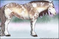 Horse Color:Chocolate Bay Ice Onyx Sabino 