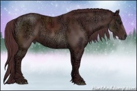 Horse Color:Chocolate Brown Ice Sabino Rabicano