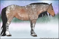 Horse Color:Brown Ice Sabino 