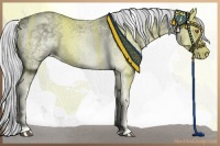 Horse Color:White Spotted Silver Black Chinchilla Ice Tobiano
