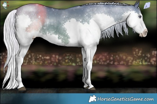 Horse Color:Silver Smoky Grullo Chinchilla Splash Rabicano 