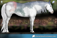 Horse Color:Silver Smoky Grullo Chinchilla Splash Rabicano 