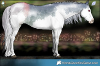 Horse Color:Silver Smoky Grullo Chinchilla Splash Rabicano