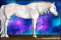 Horse Color:Watercolor White Spotted Silver Amber Champagne Onyx Sabino Splash Rabicano