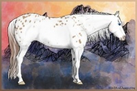 Horse Color:Red Dun Roan Sabino Frame Blanket 