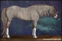 Horse Color:Chocolate Palomino Roan Splash